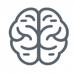 Brain - Echelon Academy UK Cognitive Performance corporate speaker talk